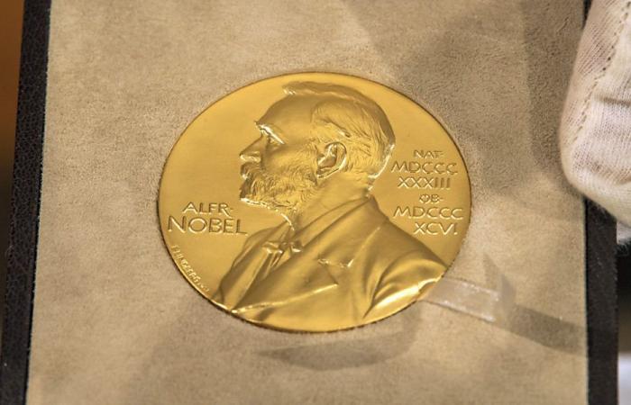 Il Premio Nobel per la Fisica va a due pionieri del machine learning