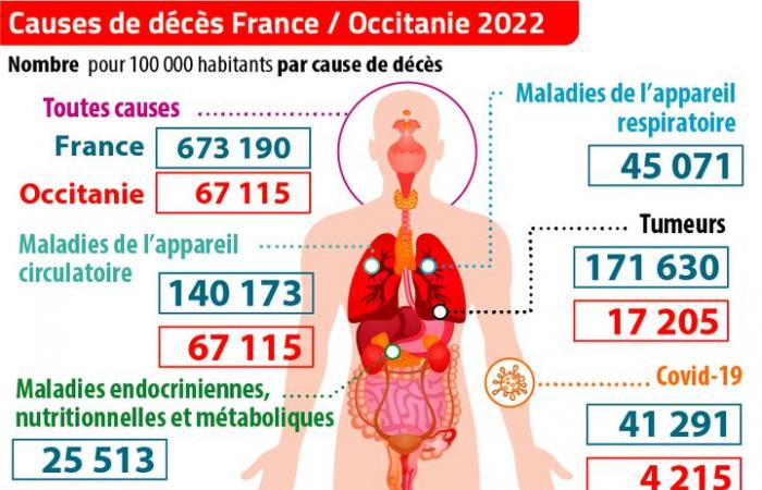 Cancro, infarti e ictus, malattie dell’apparato respiratorio… per cosa si muore di più oggi in Francia