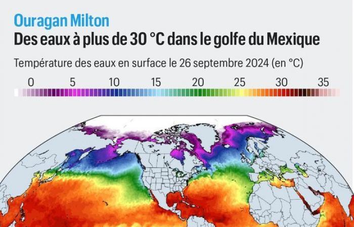 Categoria massima, acque calde… Perché l’uragano Milton potrebbe essere “la peggiore tempesta che abbia colpito la Florida in un secolo”?