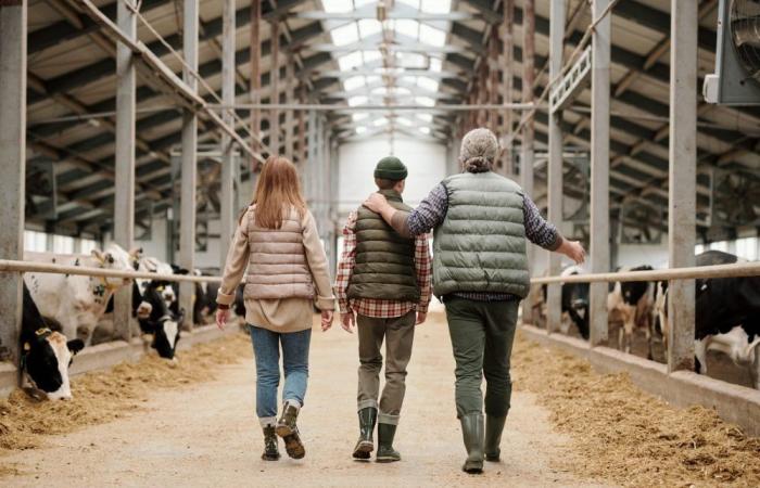 Nuova formazione per l’imprenditorialità agricola