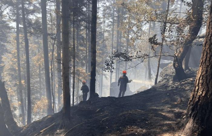 l’est della Francia prevede un raddoppio del rischio di incendi