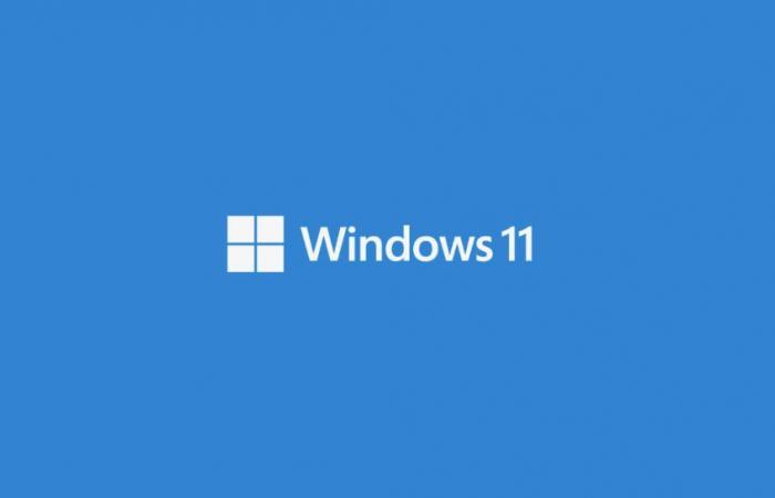 Windows 11 24H2, come scaricare le ISO di installazione?