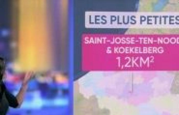 Elezioni provinciali: quale ruolo per le province in Belgio?