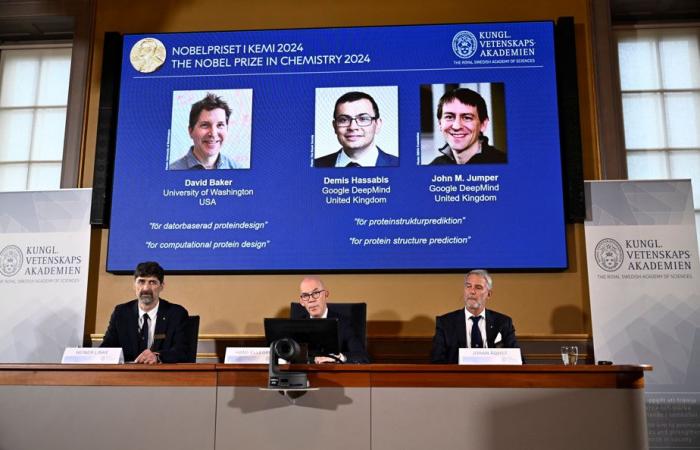 Premio Nobel per la Chimica | Lavoro premiato sulla progettazione e previsione delle proteine