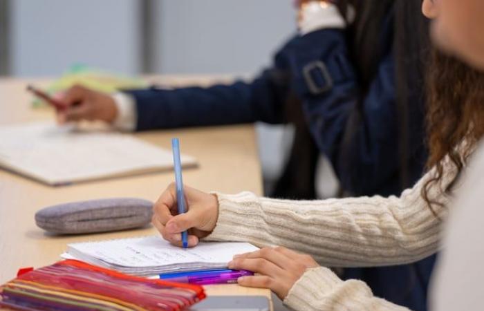 I centri di francesizzazione del Quebec sono chiusi ai nuovi studenti