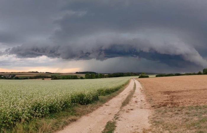 Tempesta: Ex uragano “Kirk” – minaccia di tempeste, vento e pioggia in BW