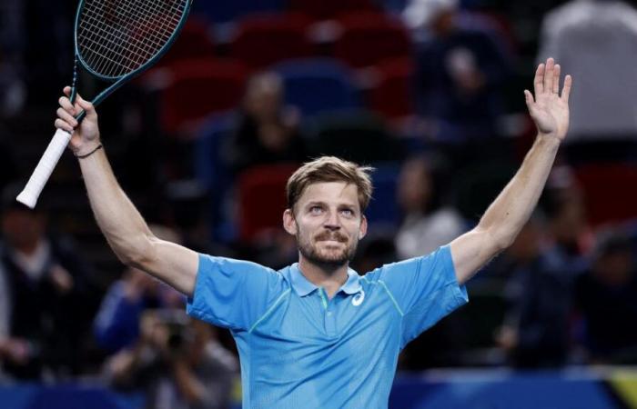 Come David Goffin è riuscito a rilanciarsi