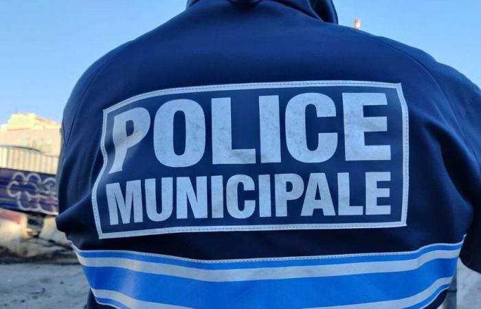 Isère: un agente della polizia municipale gravemente ferito a Échirolles, colpito per essersi rifiutato di obbedire