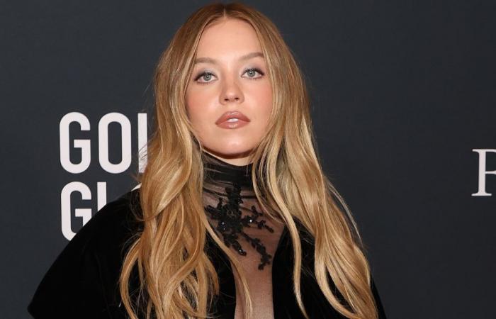 Sydney Sweeney e Amanda Seyfried in La governante