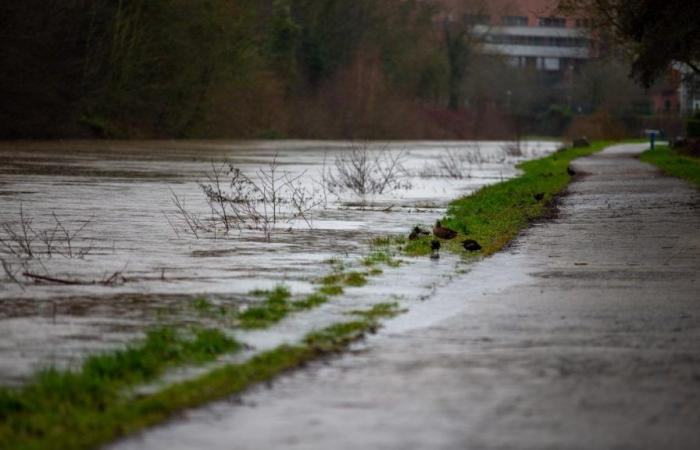 Seine-et-Marne messa in allerta rossa per inondazioni, il Nord in giallo