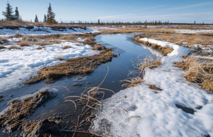 lo scioglimento del permafrost innesca una reazione a catena imprevista!