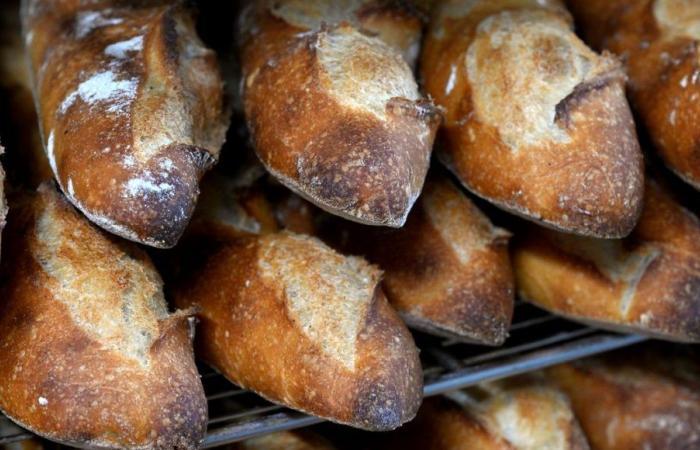 Strasburgo è la città dove il prezzo di una baguette è il più alto con… Parigi