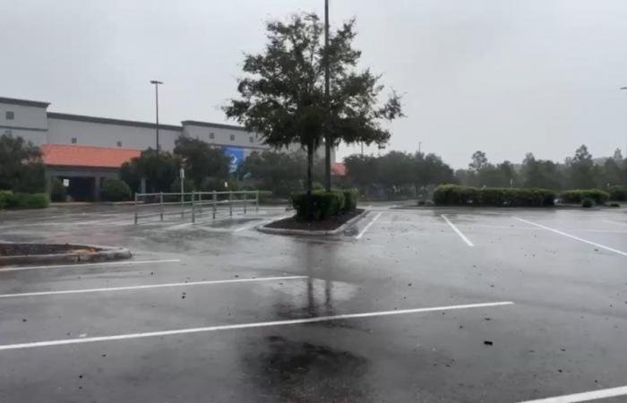 Testimonianze dei residenti della Florida poche ore prima del devastante uragano Milton | Varie