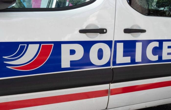 Essonne: un adolescente accoltella il padre 9 volte dopo una serata ubriaca