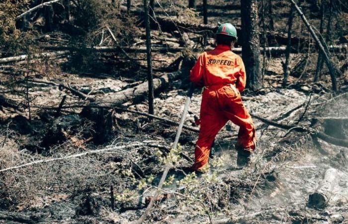 L’incendio del Chapais sarebbe costato al Quebec almeno 4 milioni di dollari