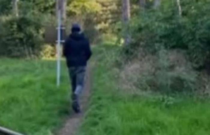 Dopo Philippine, nuovo tentativo di violenza sessuale al Bois de Boulogne in pieno giorno: Jeanne riesce a fotografare e a mettere in fuga il suo aggressore – Ci racconta ieri sera al TPMP – Video