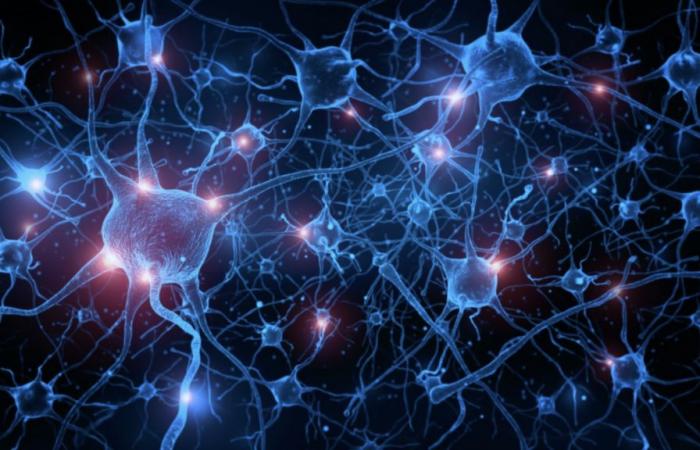 Un’associazione tra reti cerebrali di ruminazioni e sintomi psichiatrici