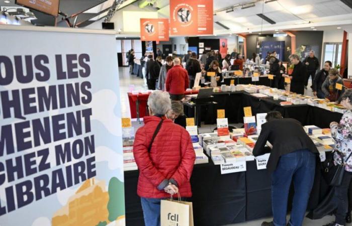 il Bron Book Festival è affondato