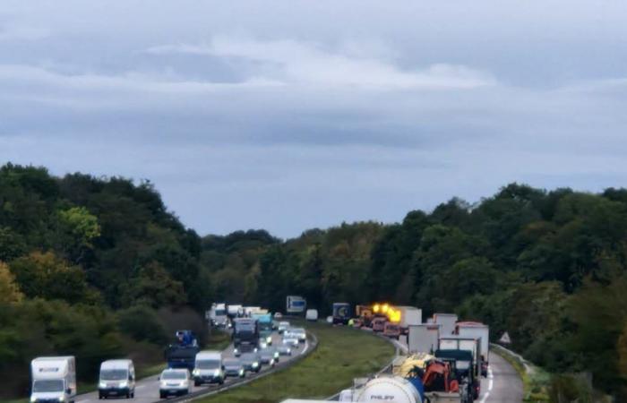 un camion termina il suo viaggio nella riserva centrale vicino a Pont-à-Mousson