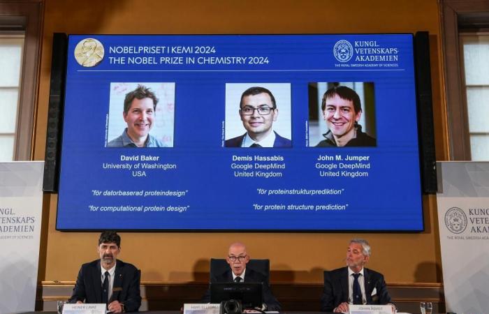 Premio Nobel per la Chimica assegnato a tre scienziati per il loro lavoro sulle proteine ​​- Xinhua