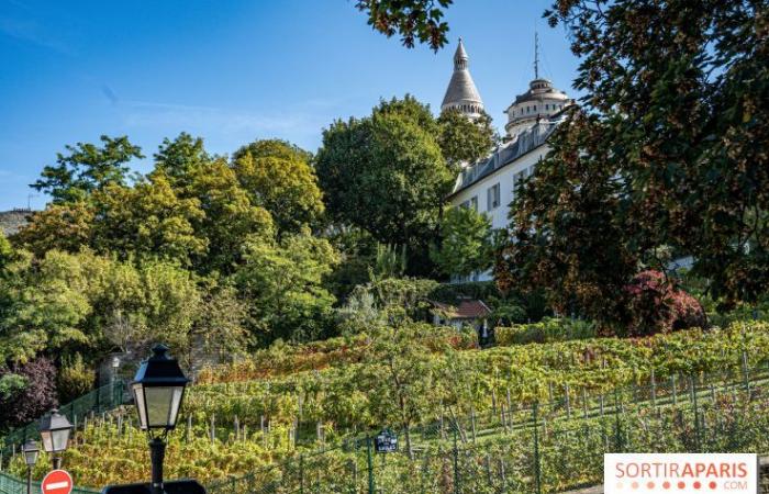 Festa della Vendemmia di Montmartre 2024: ecco 5 eventi da non perdere