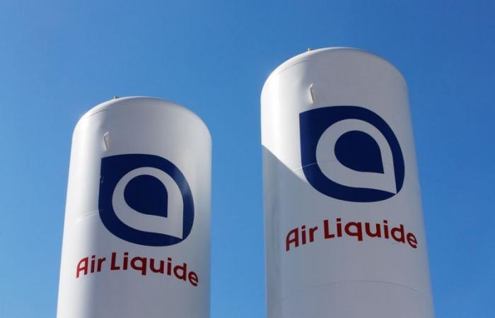 Opinioni degli analisti del giorno: Air Liquide, Amundi, Publicis, LVMH, Nestlé, Scor, Soitec, AB Inbev…