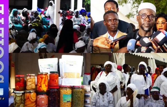 Promozione dell’imprenditorialità in Senegal: verso l’arruolamento delle organizzazioni femminili per l’intensificazione della loro produzione…