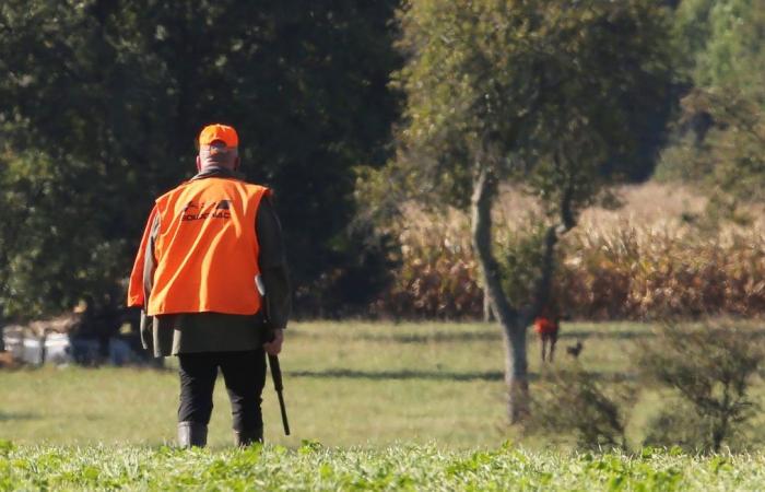 Un anno di reclusione con sospensione della pena per la giovane donna che ha ucciso un escursionista