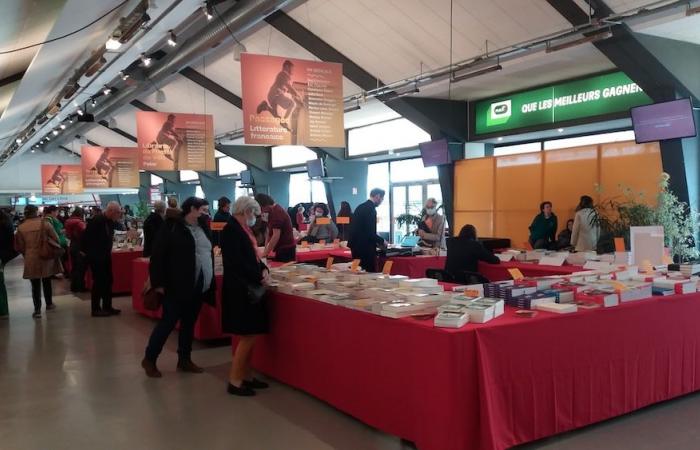 si conclude il Bron Book Festival