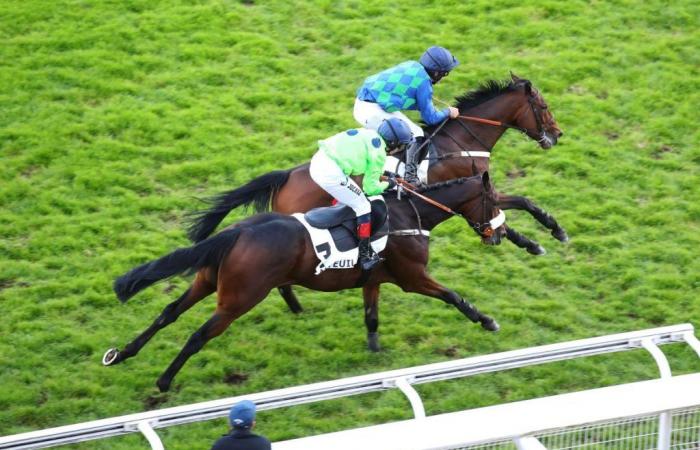 Maestro della musica si conferma al Premio Piomares di Auteuil