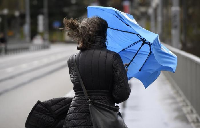 Meteo in Svizzera: previste raffiche di vento fino a 90 km/h