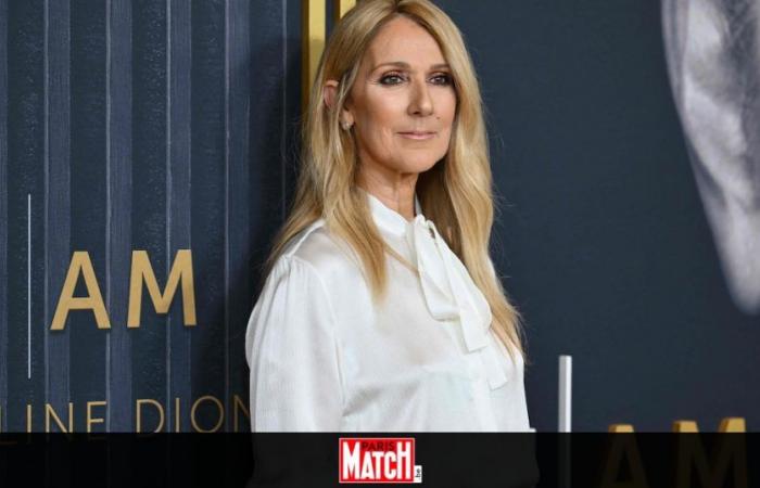 Celine Dion “pronta a tutto pur di tornare”: il messaggio dietro il suo ultimo video