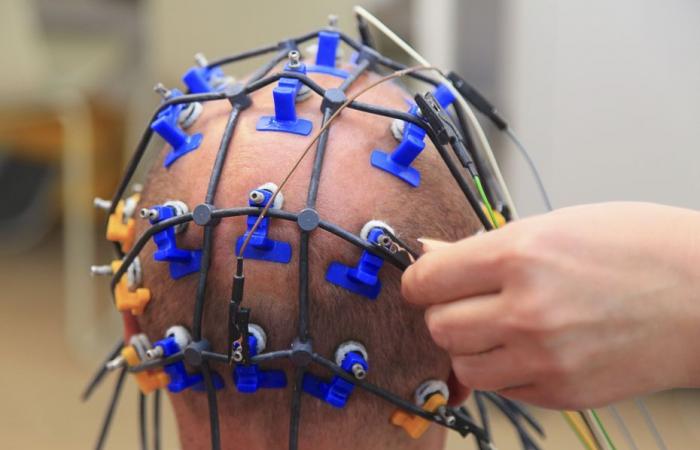 “Rende medici e pazienti più sicuri”, una start-up rivoluziona la diagnosi dell’epilessia grazie all’intelligenza artificiale