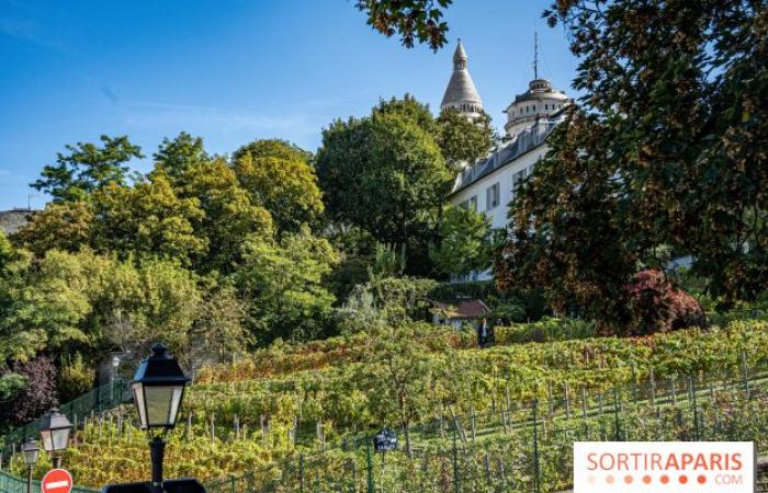 Festa della Vendemmia di Montmartre 2024: ecco 5 eventi da non perdere