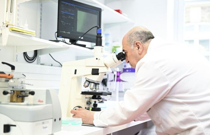 Come l’Institut Pasteur contribuisce alla lotta contro le infezioni da meningococco