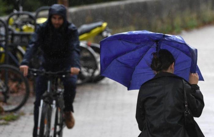 le “piogge aumenteranno d’intensità nel corso della giornata” nella Loira Atlantica