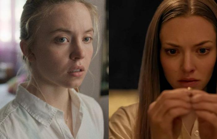 Sydney Sweeney e Amanda Seyfried reciteranno nell’adattamento di The Housekeeper aka The Viral Book su TikTok