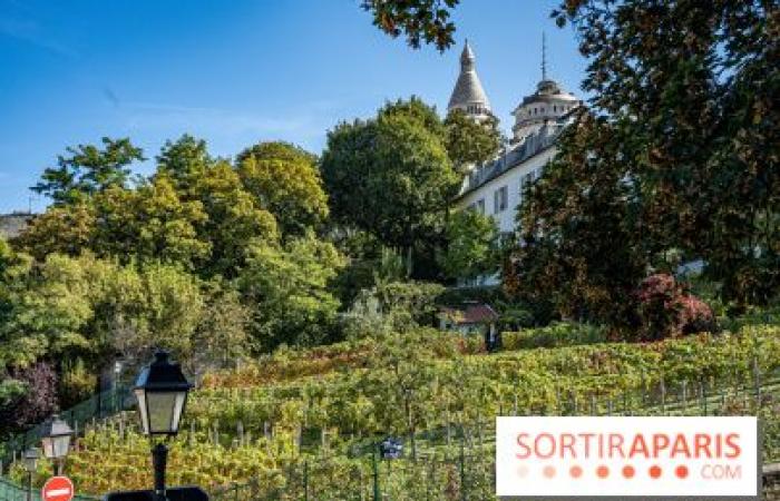 Festa della Vendemmia di Montmartre 2024: ecco 5 eventi da non perdere