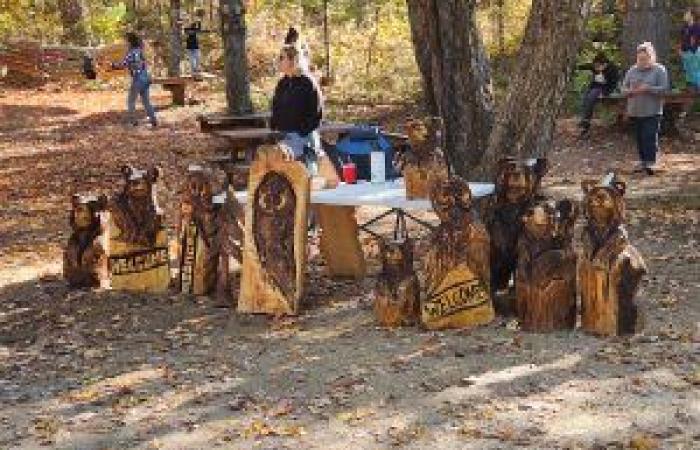 Uno sguardo al Lumberjack Day al Parc des Chutes Coulonge – CHIP FM