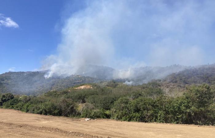 Prosegue l’incendio del Pic aux Chèvres, quello di Pointe à la Dorade messo sotto controllo