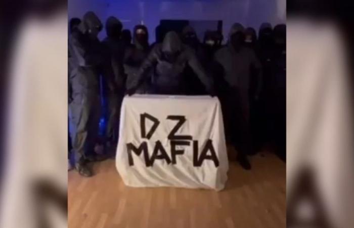 la mafia DZ assicura in un video di non avere “nessun legame” con i due omicidi