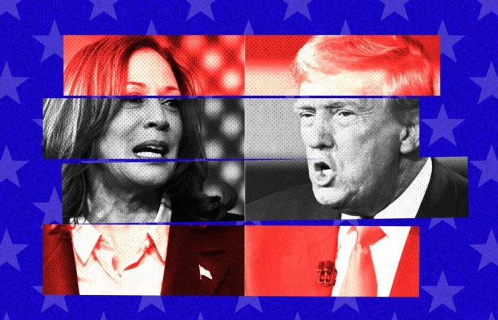 confrontare i programmi di Kamala Harris e Donald Trump