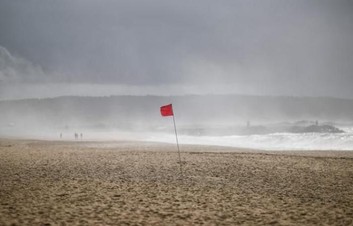 Belgio, Francia, Portogallo, Spagna… la tempesta Kirk travolge parte dell’Europa (foto)