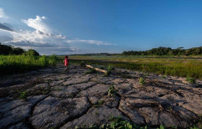 Studio sullo stato della Terra | “Siamo sull’orlo di una catastrofe climatica irreversibile”