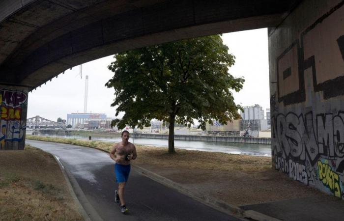 Inondazioni: attività all’aria aperta vietate nella Seine-et-Marne, passeggiate nei boschi sconsigliate nella regione