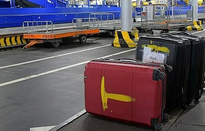 un britannico, proveniente dall’isola della Riunione, arrestato all’aeroporto con 20 kg di cannabis