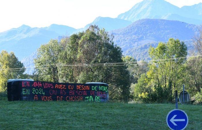 “Per il momento saranno solo striscioni, poi vedremo”… I giovani agricoltori attendono l’azione del governo