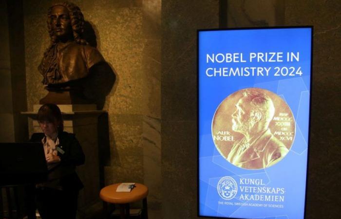 Il Premio Nobel per la Chimica premia il lavoro sulle proteine ​​e sull’intelligenza artificiale – 10/09/2024 ore 16:50