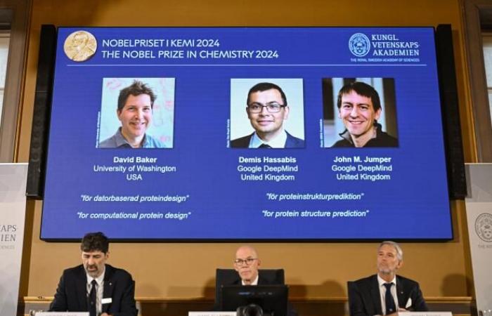 Il Premio Nobel per la Chimica 2024 viene assegnato a David Baker, Demis Hassabis e John Jumper per il loro lavoro sulle proteine