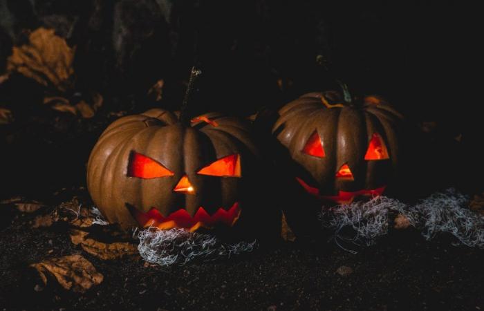 Attività di Halloween da fare a Montreal nel 2024